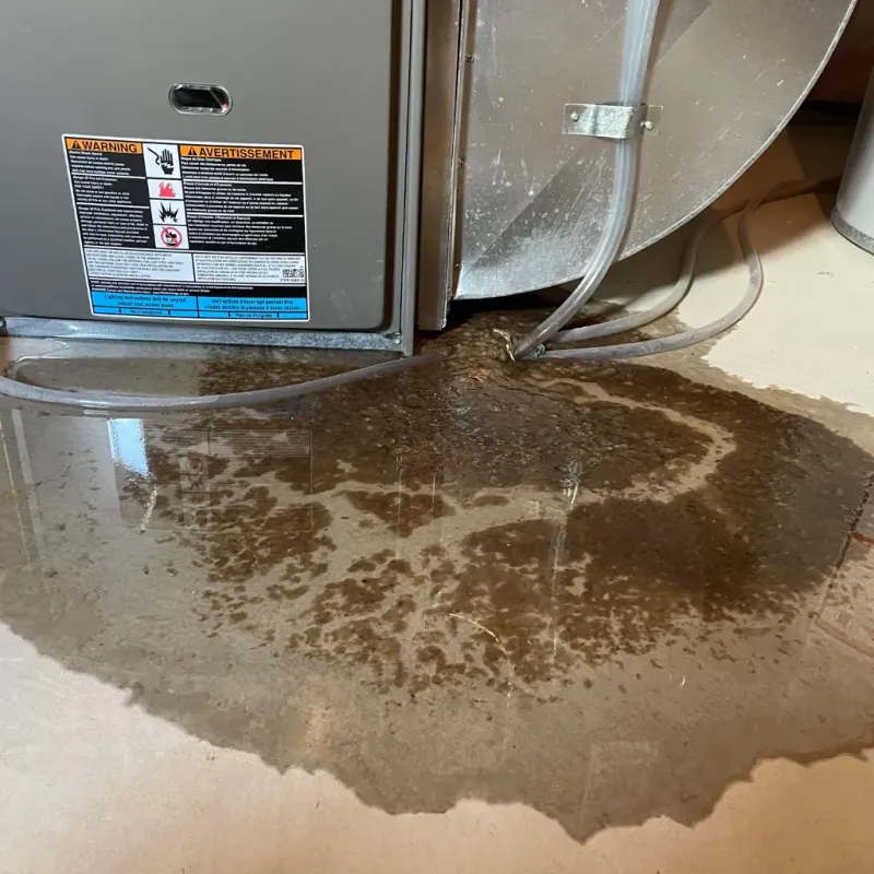 Appliance Leak Cleanup in Shoshone County, ID